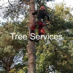 Tree services