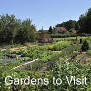 Gardens to visit in Lymington and the New Forest area