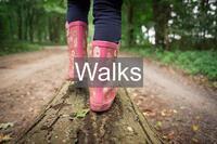 Walking in wellies on a log in the New Forest