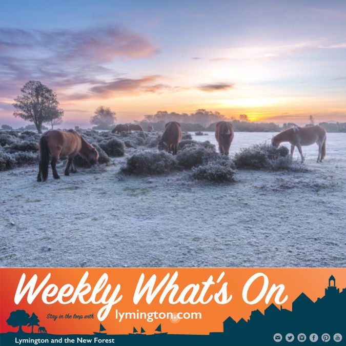 Ponies in the snow by Bramble and Beach Photography Weekly What's On Lymington.com