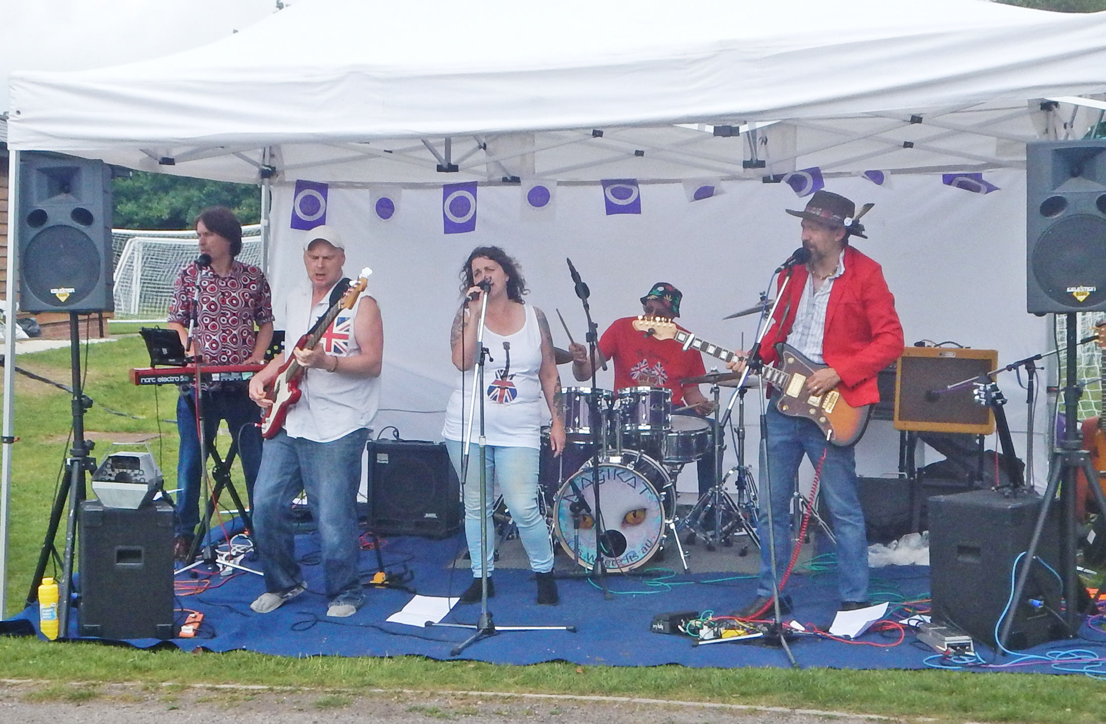 Band Magikat at Picnic in the Park