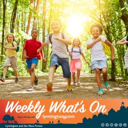 Summer children What's On Lymington.com