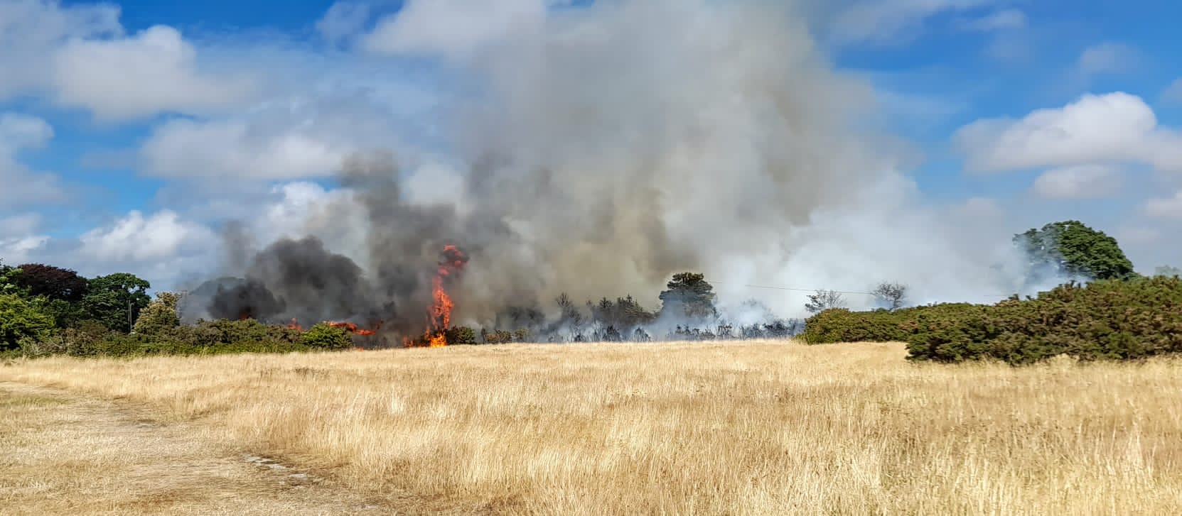 Fire at Pennington Common - Lymington and Pennington Town Council
