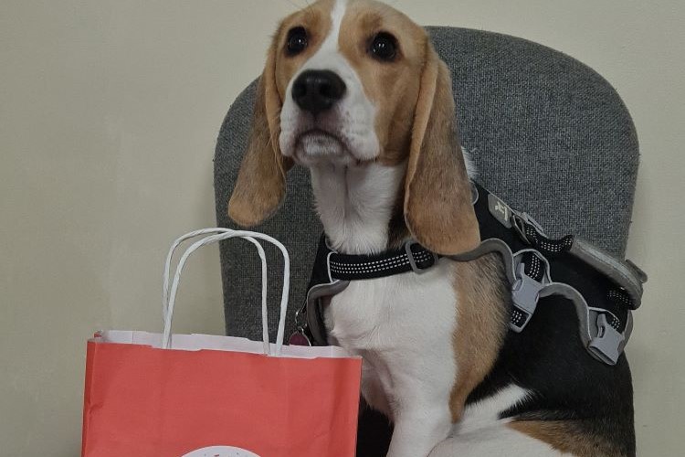 Happy 30th Birthday OSCAR Pet Foods - and party presents for the New Forest