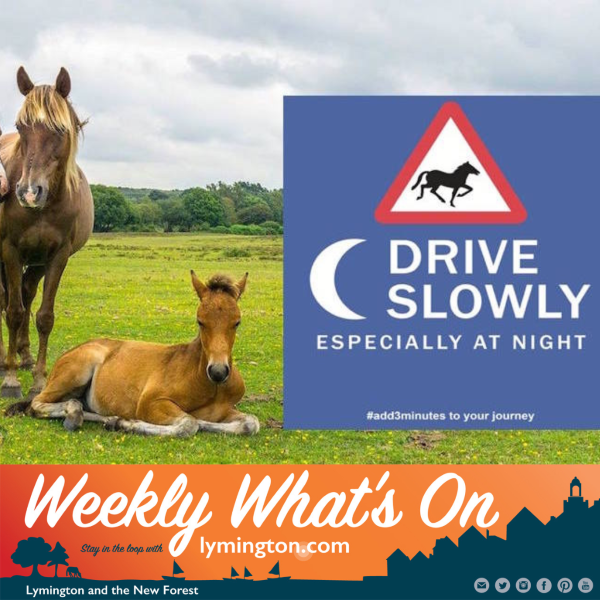 Drive slowly add3minutes