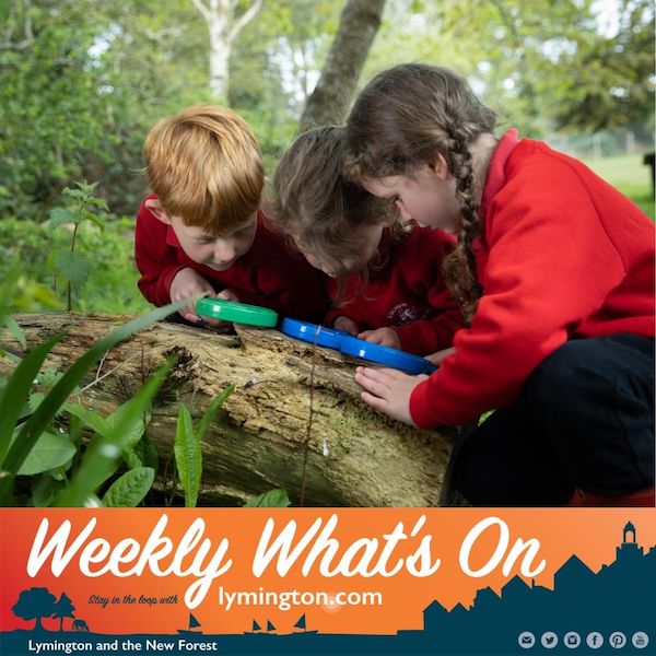 Children with magnifying glasses looking at wildlife on a log