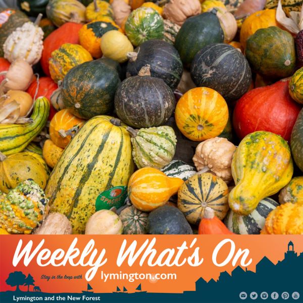 A variety of squashes