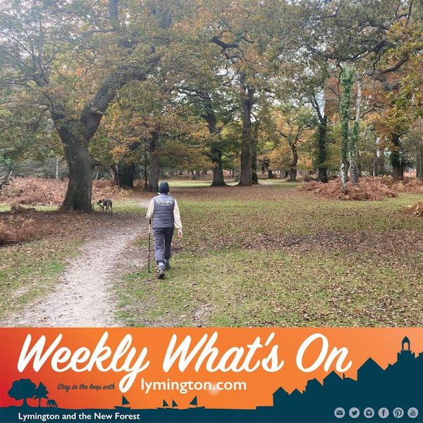 Walking in the New Forest Weekly Whats On by Lymington.com