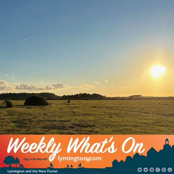 Sunset over the forest