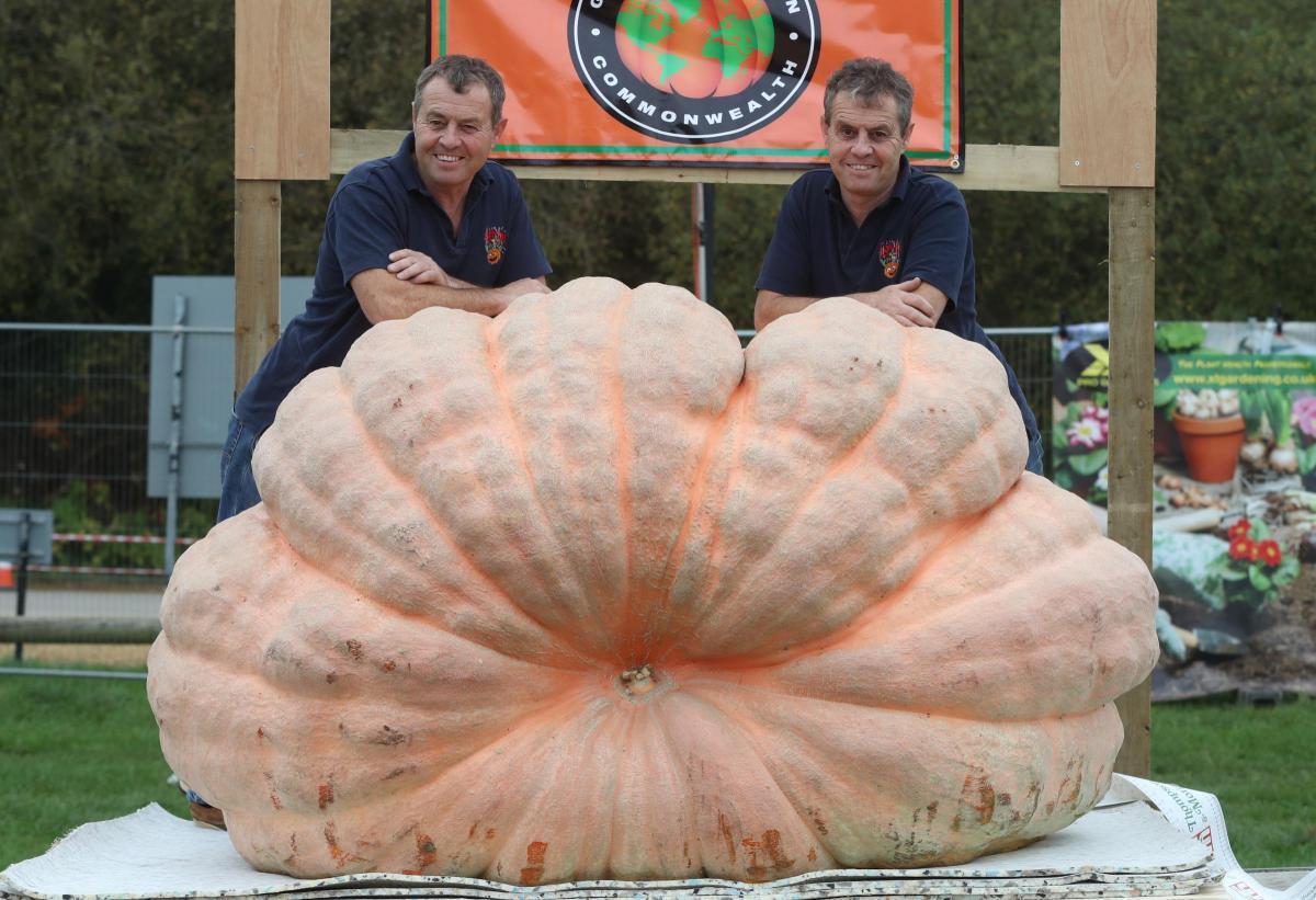 Lymington grown pumpkin heaviest in the UK!