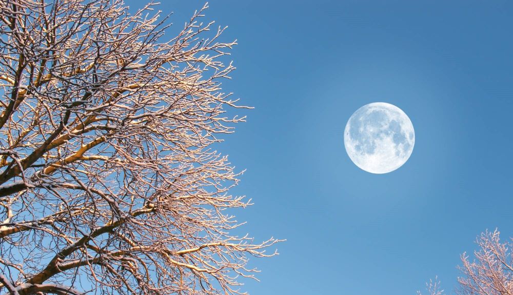 Sen Sound Sessions the pool