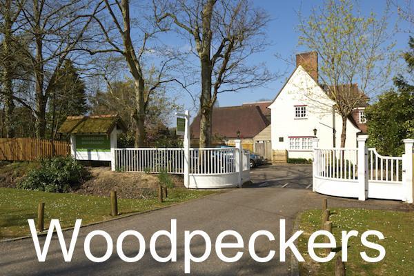 Colten Care Woodpeckers Brockenhurst