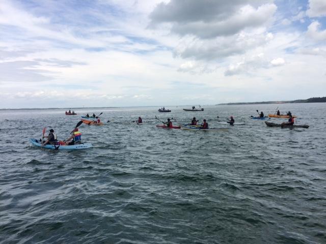 Solent swimmers in aid of Piam Brown ward at Southampton Hospital 