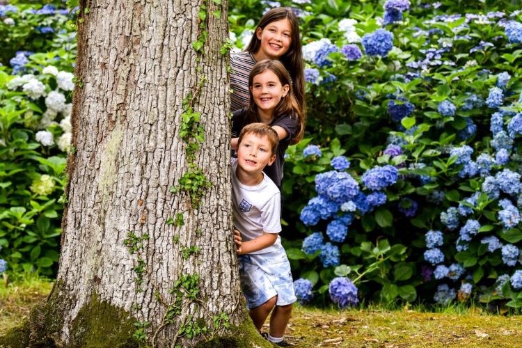 Exbury Gardens summer family hiding behind tree with hydrangeas in background