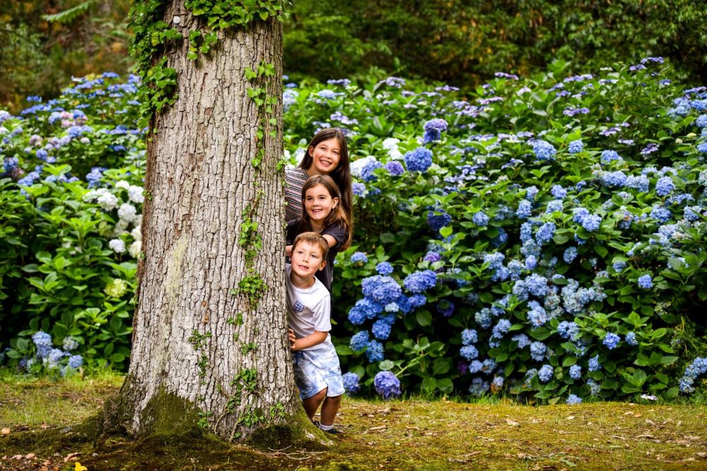 Family behind tree hydrangeas in background at Exbury Gardens