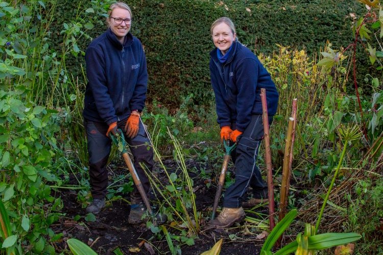 Bringing in the perennials at Exbury Gardens 