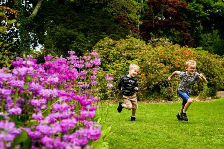 Exbury Gardens rhodedendrons and boys running