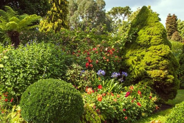 Tropical vibes at Exbury Gardens in September