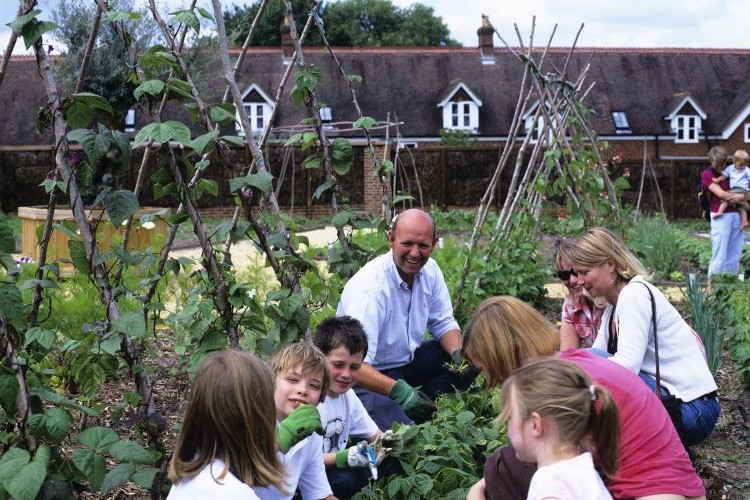 Patrick’s Patch at Fairweather's Garden Centre, Beaulieu, New Forest