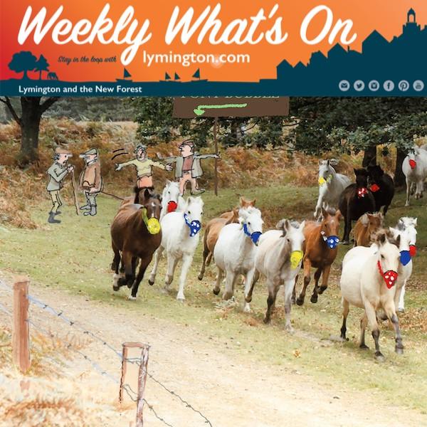 Hugh Lohan pony drift cartoon image