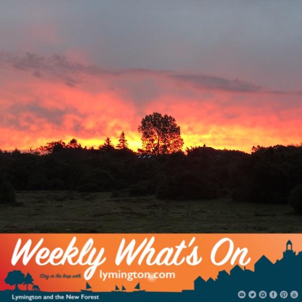 Sunrise over the New Forest