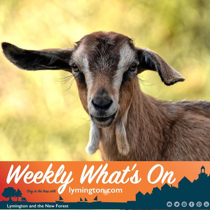 Weekly What's On for Lymington and the New Forest 16 August 2019
