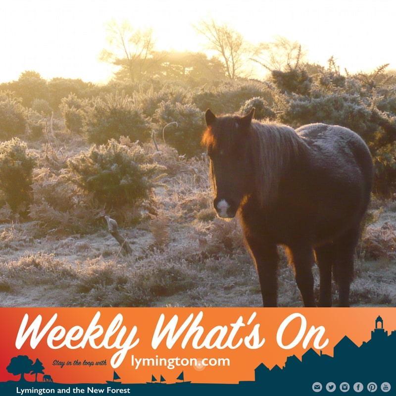 What's on in the New Forest this weekend?