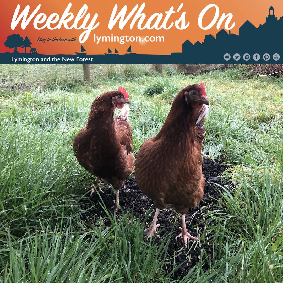 Lymington.com weekly what's on chickens in the garden
