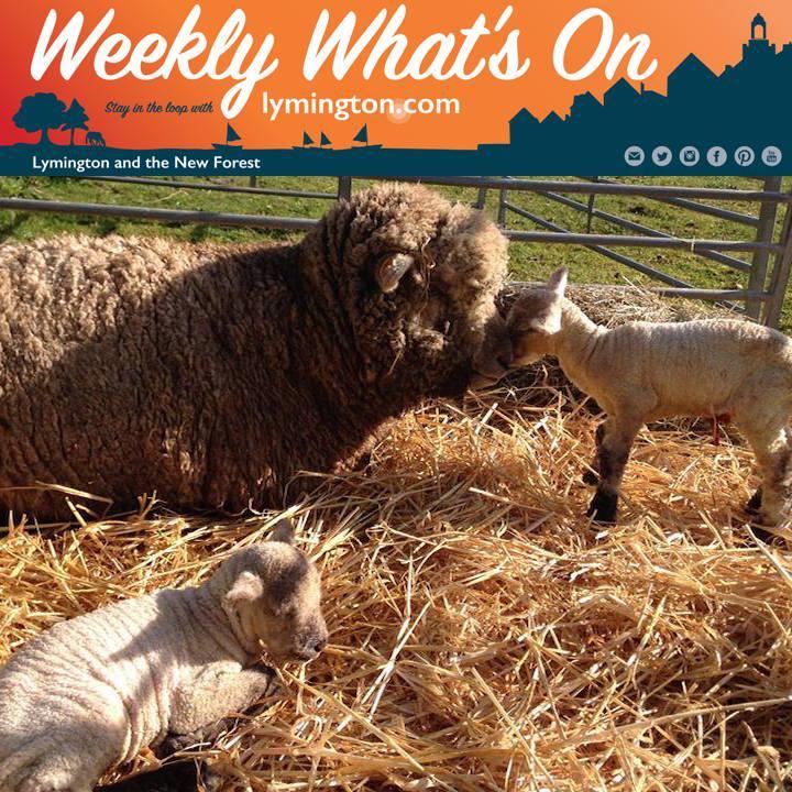 Weekly What's On in the New Forest