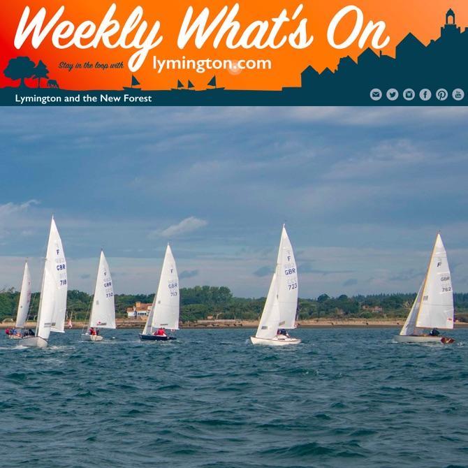 Weekly What's On in the New Forest