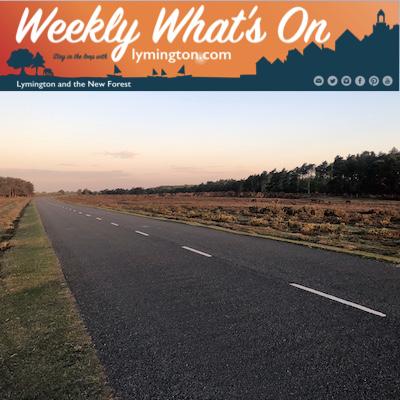 morning health in the New Forest