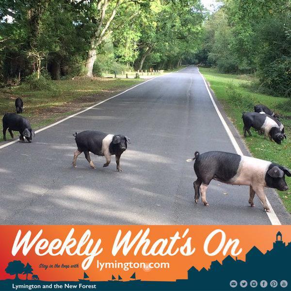 pannage New Forest What's On Weekly email newsletter