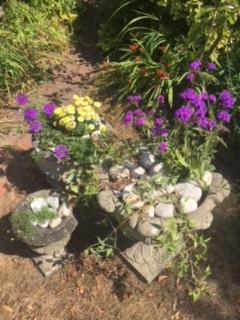 Prioritising which plants to water in a dry spell 