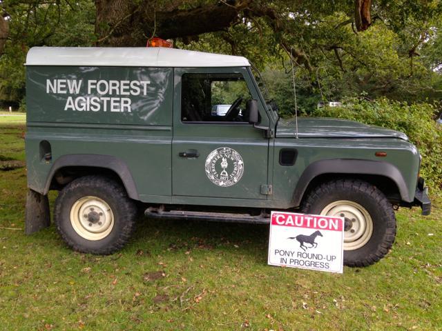 Agisiter landrover roundup in progress by New Forest Commoner