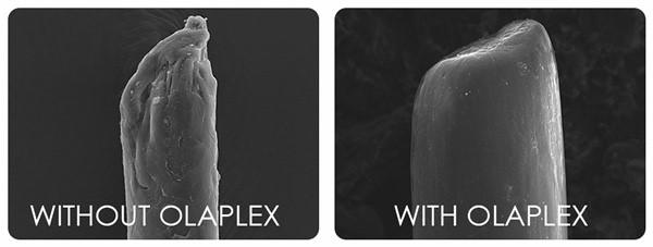 Olaplex before and after