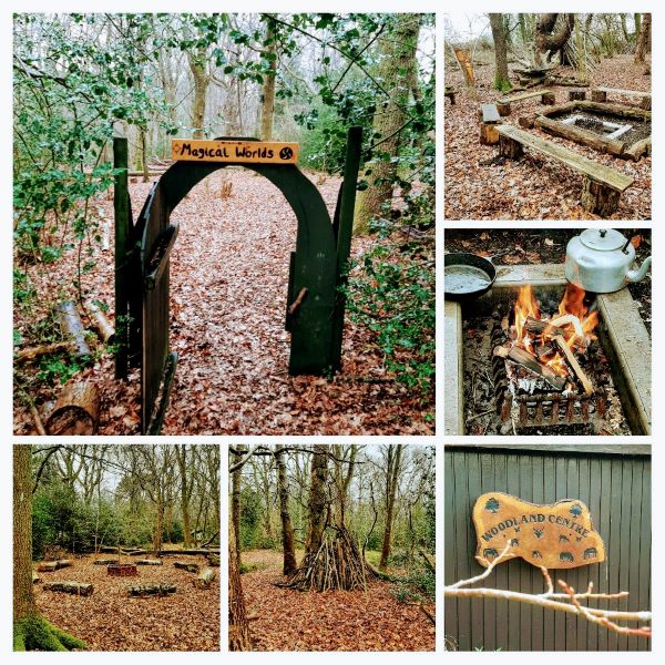 collage of woodland images