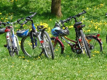 bikes in the forest
