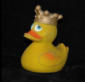 pixabay rubber duck crown