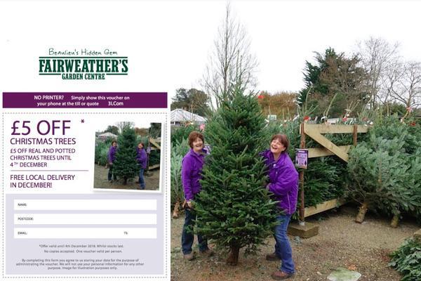 All set for a magical Christmas at Fairweather's