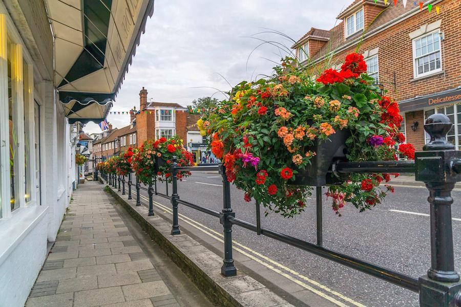gosport street flowers2