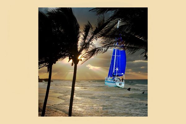 Goodbye from New Forest Mark and Hugh 