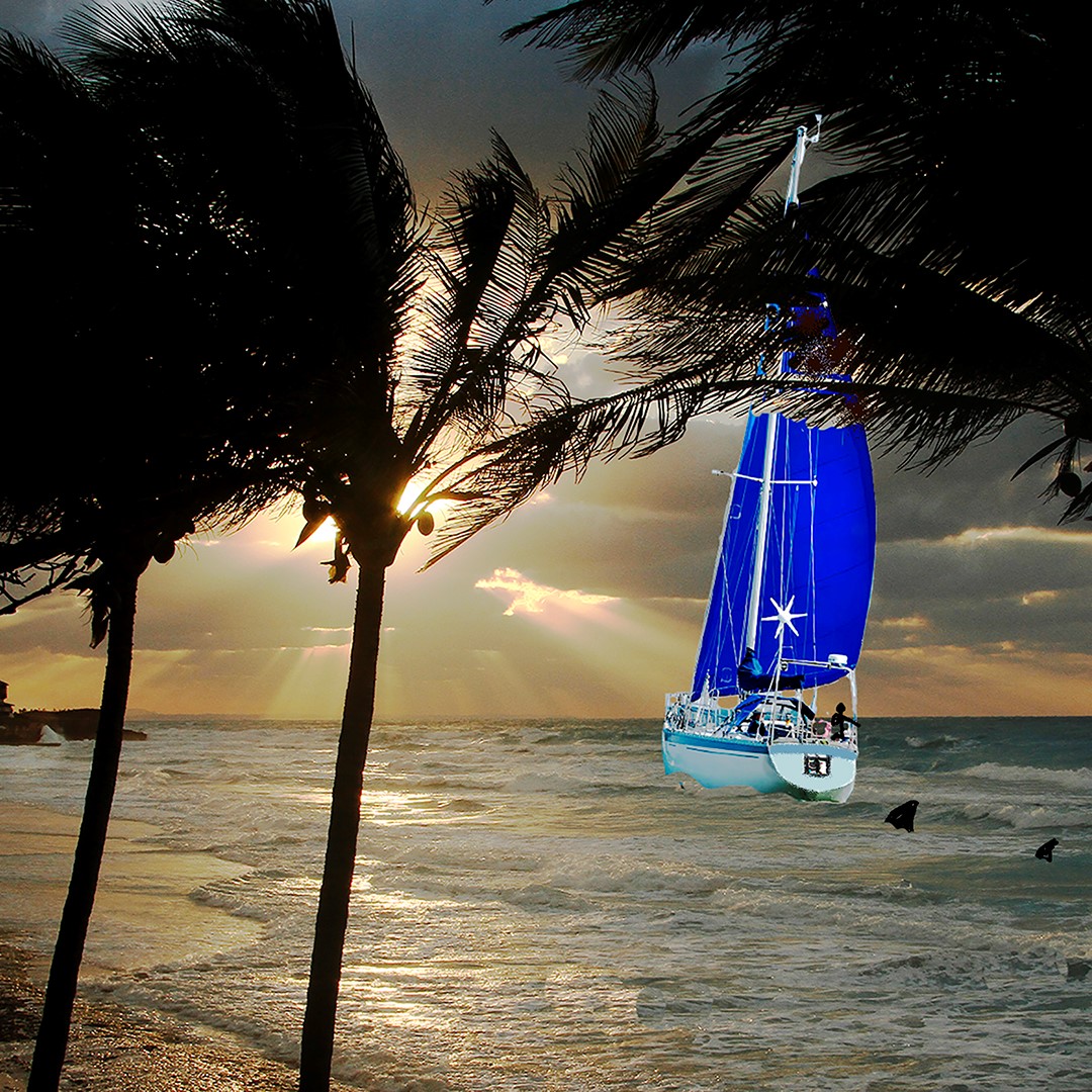 Cartoon of yacht sailing into the sunset followed by shark