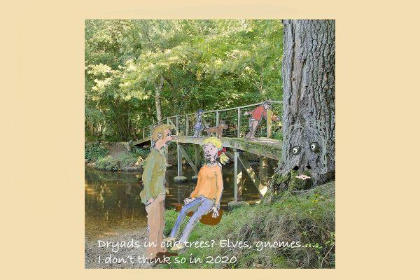 Can't see the wood for the trees? Mark and Hugh on New Forest 