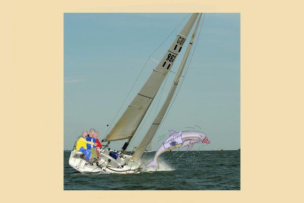 Mark and Hugh muse over the marvels of Cetaceans in the Solent