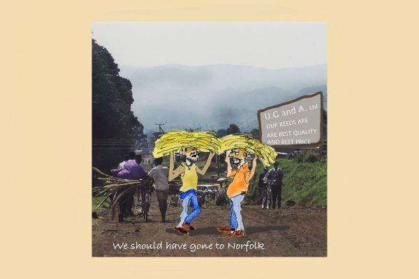 A roof over your New Forest head by Mark and Hugh