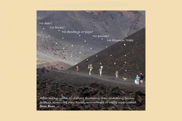 Mark and Hugh on the litter pickers of the New Forest 