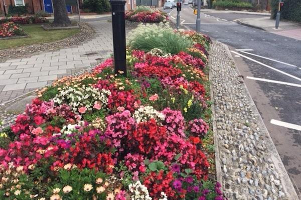 Lymington wins four blooming silver gilt awards!