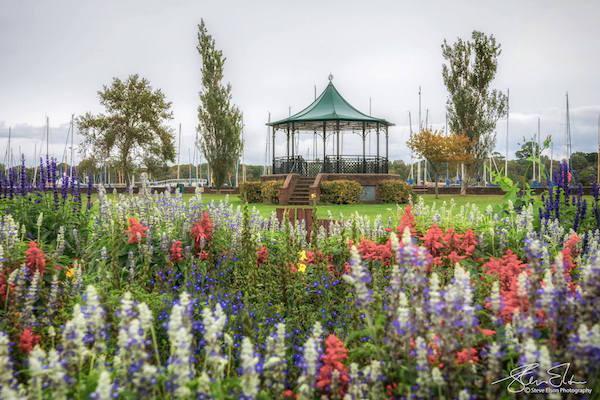 bath road flowers by Steve Elson 