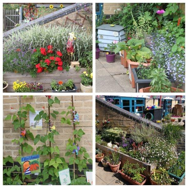 lym penn flower fest 2019 pot hanging basket winner lym ce infant school 