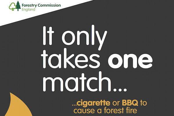 Take care - don't start a New Forest fire